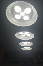 IMG_20210102_101249.jpg