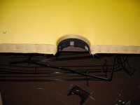 IMG_4354.jpeg