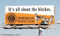 New signs.2.jpg
