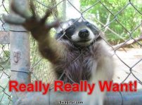 coon.jpg