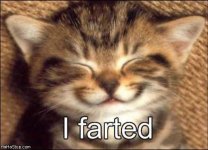 Farted.jpg