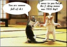catfun-skryt 2.JPG