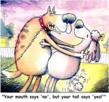 funny+pictures.JPG
