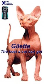 gillete.jpg