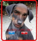myspace-funny-comments-2.jpg