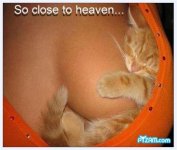 heavan (Large).jpg