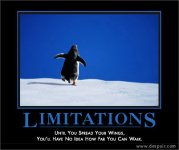 limitations.jpg