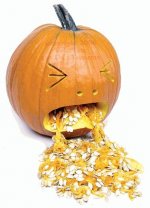 pumpkin.jpg