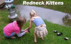 rnkittens.jpg