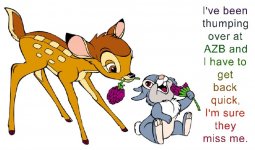 thumper (Large).jpg