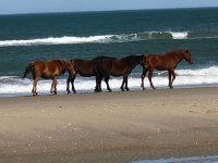 IMG_0427.jpg