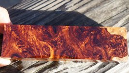 Coco Burl 2.jpg