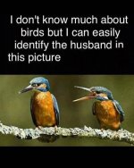 IMG_0328.jpeg