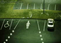 6273pic004919pq.gif