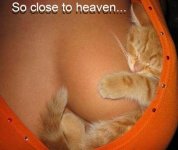 zzzzclosetoheaven.jpg