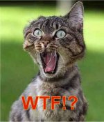 fpissed off kitty sent.jpg