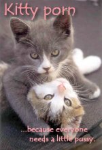 kitty porn sent.jpg