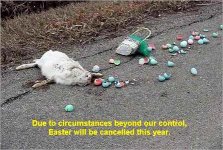 eastersh6.jpg