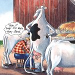 Far Side Stand.jpg