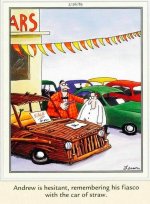 Far Side Car of straw.jpg