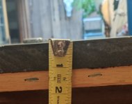 PXL_20210619_181717846.jpg