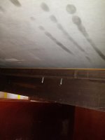 20210731_091355.jpg