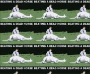 dead horse (Large).jpg