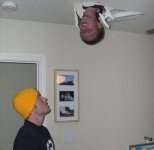 head_through_roof.jpg