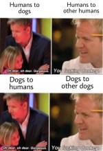 FB_IMG_1629121348496.jpg