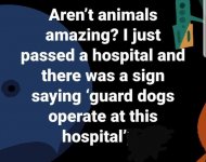 FB_IMG_1629322306177.jpg