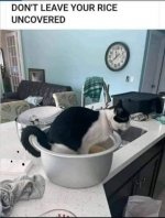 FB_IMG_1632944818908.jpg