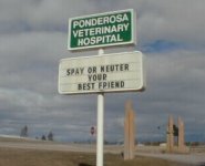 spay.jpg