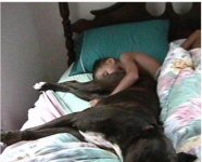 Sleeping Dog_edited-1.jpg