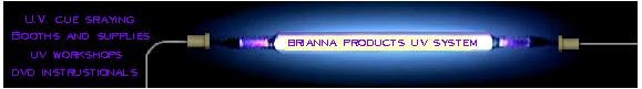 brianna uv sytem logo.jpg