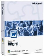 MICROSOFT_WORD.JPG