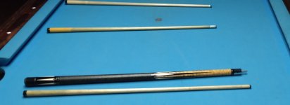 SCHON CUE IDENTIFICATION visual data 3