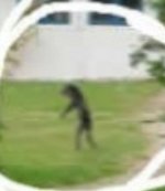 what is it.jpg