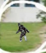 bigfoot.jpg
