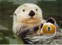otter1.JPG