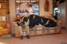 Funny_Pictures_27117.jpg