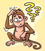 istockphoto-1213154438-612x612.jpg