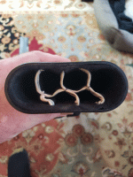 20220201_110107.gif