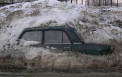 carinwinter.jpg