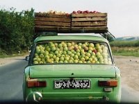 carapples.jpg