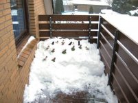 image007.jpg