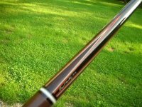 Rosewood mottey 0032 (Small).JPG