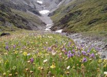 ANWR_image005.jpg ANWR_image005.jpg