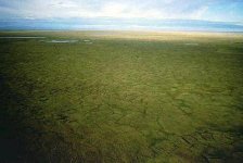 ANWR_image009.jpg ANWR_image009.jpg