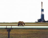 ANWR_image015.jpg ANWR_image015.jpg