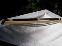 McDaniel small whole pic.jpg